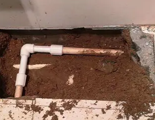 文山测漏水哪家好