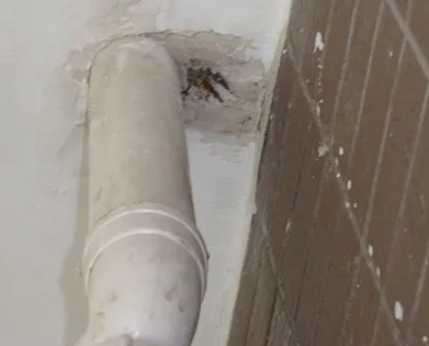 文山漏水检测哪家好